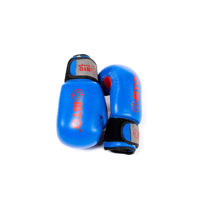 Boxing Gloves - Blue/Red - Leather - 14oz