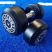 Urethane Dumbbells  - 65kg Pair * CUSTOM BRANDED* - Blue-ChipfitenessStore